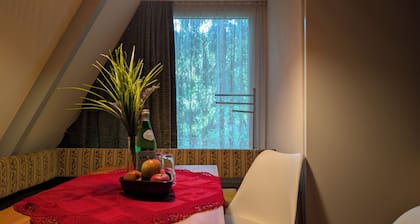 Gemütliche Hütte mitten im Wald. Haustierfreundlich!