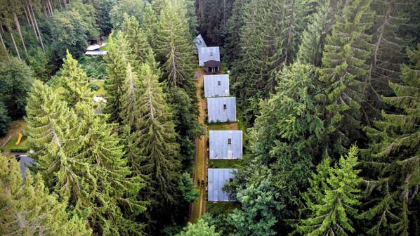 Een rij vakantiehuisjes in een bos, omringd door hoge altijdgroene bomen.