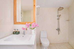 Standard Double Room | Bathroom | Shower, hydromassage showerhead, designer toiletries, hair dryer