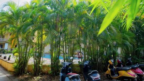A courtyard with a pool, surrounded by palm trees and parked scooters. - Ocean Whisper Goa (Goa)