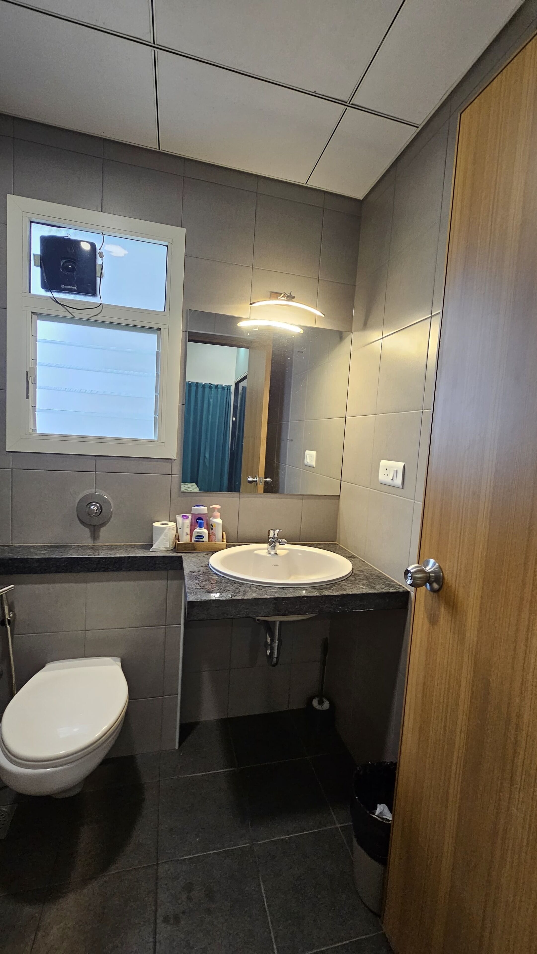 Shower, bidet, towels, soap