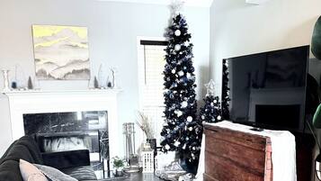 Smart-TV, Kamin, BĂŒcher