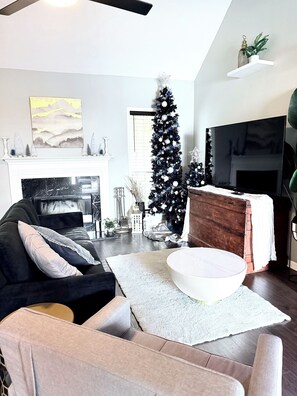 Smart TV, fireplace, books