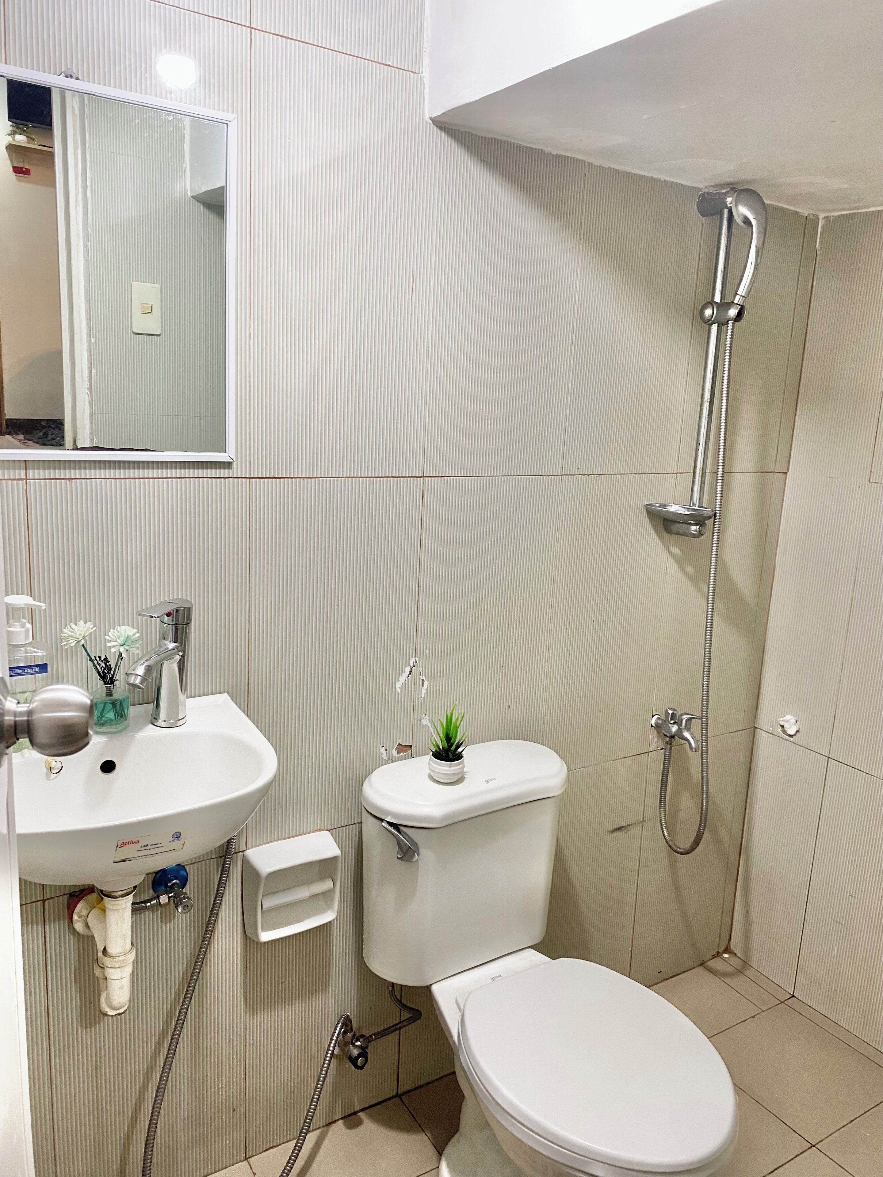 Shower, bidet, towels, soap