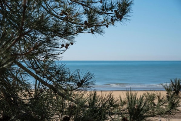 Plage