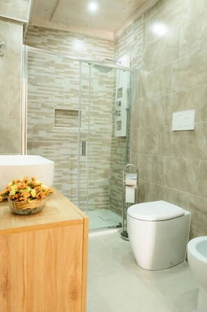 Regadera, secadora de cabello, bidet, toallas 