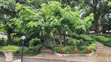 Vista para a região