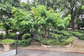 Land view from property