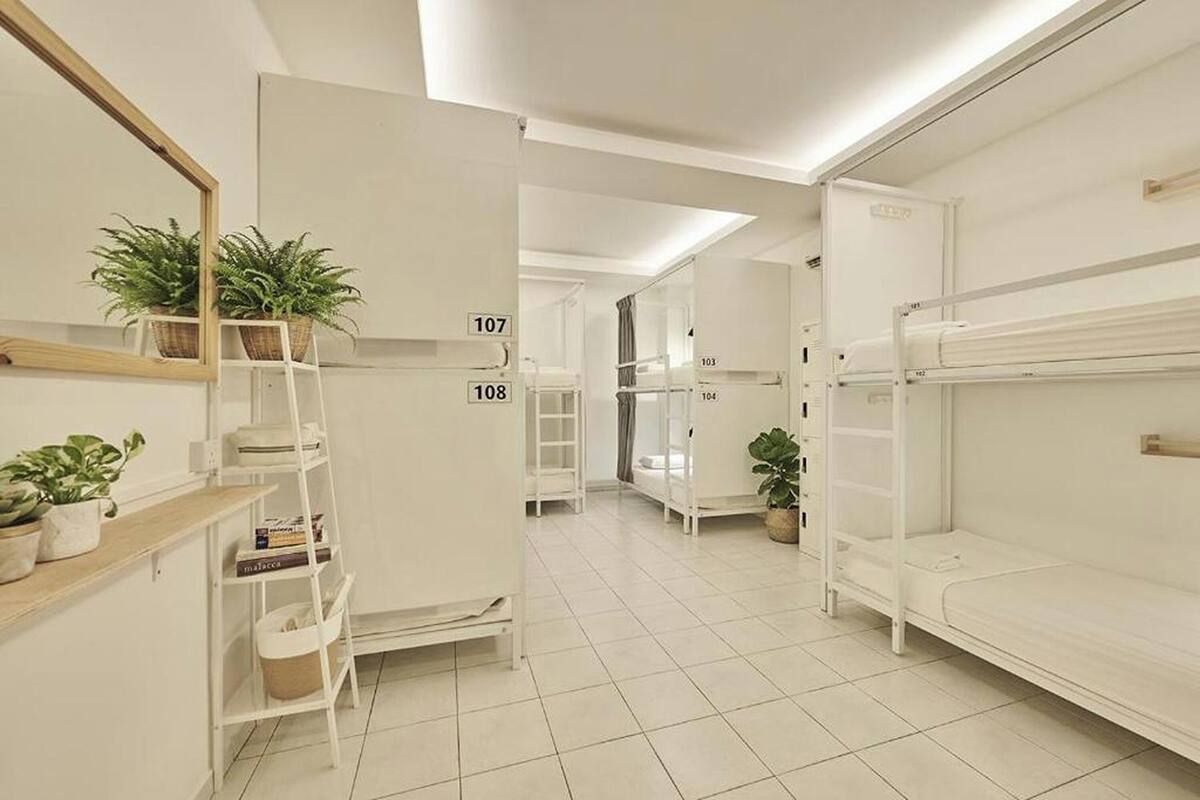 Een hotelkamer met stapelbedden, een witte kledingkast, een ladder en potplanten.