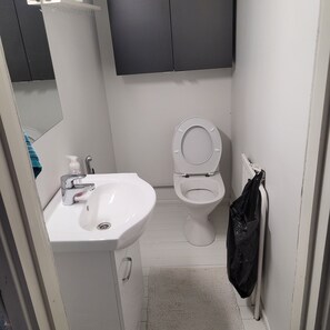 Regadera, secadora de cabello, toallas, papel de baño 