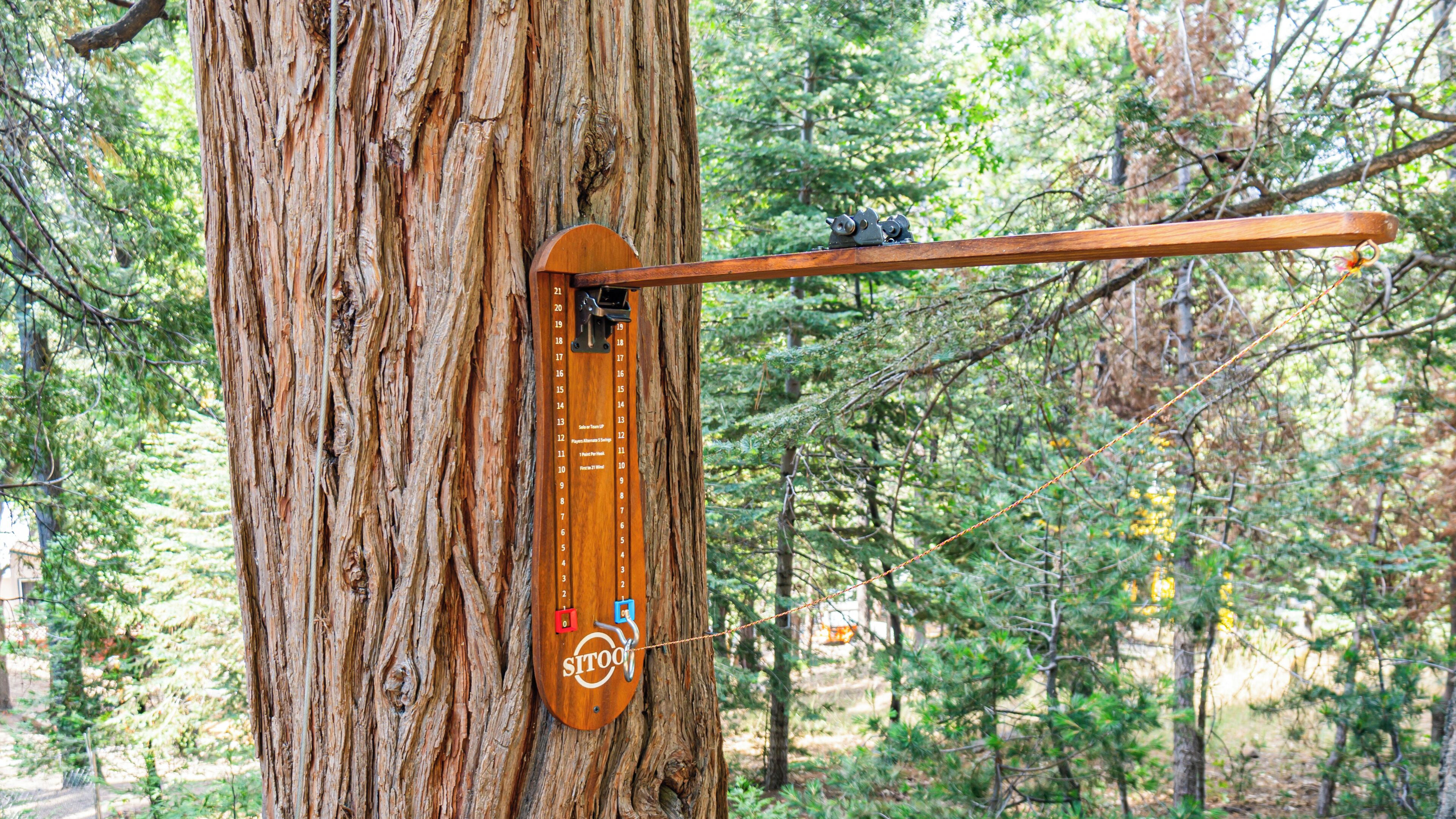 A tree with a wooden device attached to it, possibly a measuring instrument or a decorative piece.