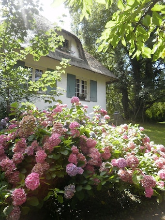 Exterior. josé haillet