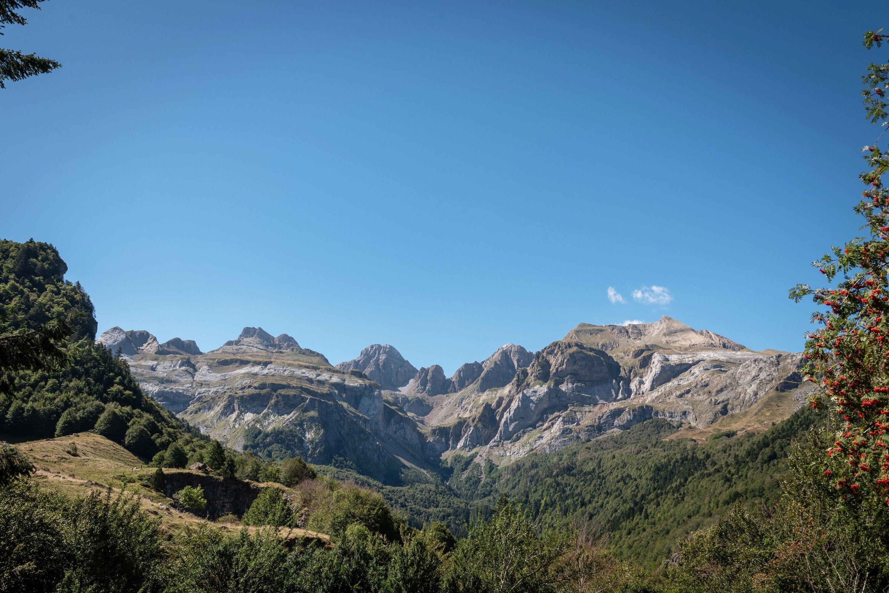 A mountainous landscape with rocky terrain and dense green forests.