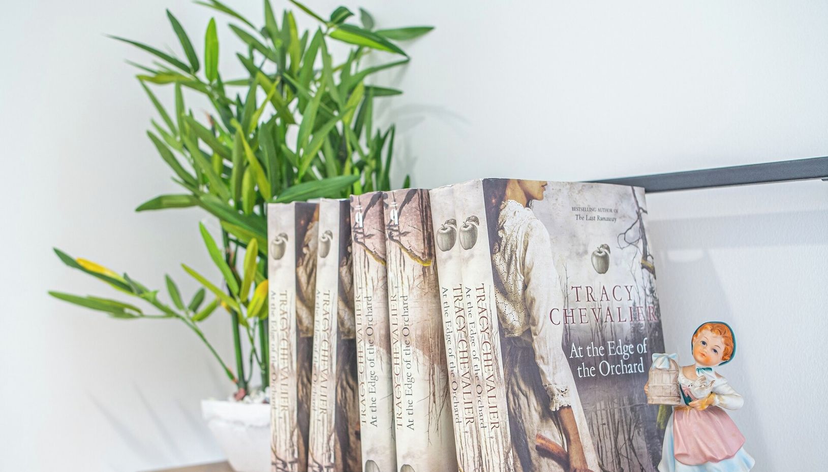 Un conjunto de libros titulados 'Tracy Chevalier' con una pequeña figurita sobre una estantería.