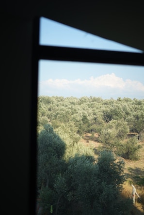 Habitación estándar | Vista desde la habitación