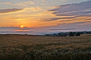 Vue sur la campagne depuis lâhĂ©bergement
