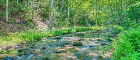 A forest stream with rocks, trees, and greenery.