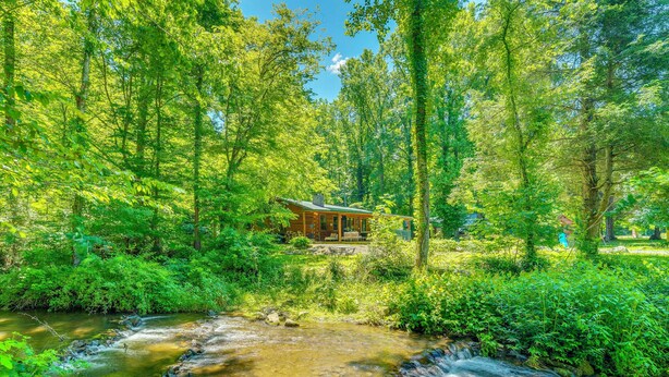 A cabin surrounded by dense forest and a flowing stream.