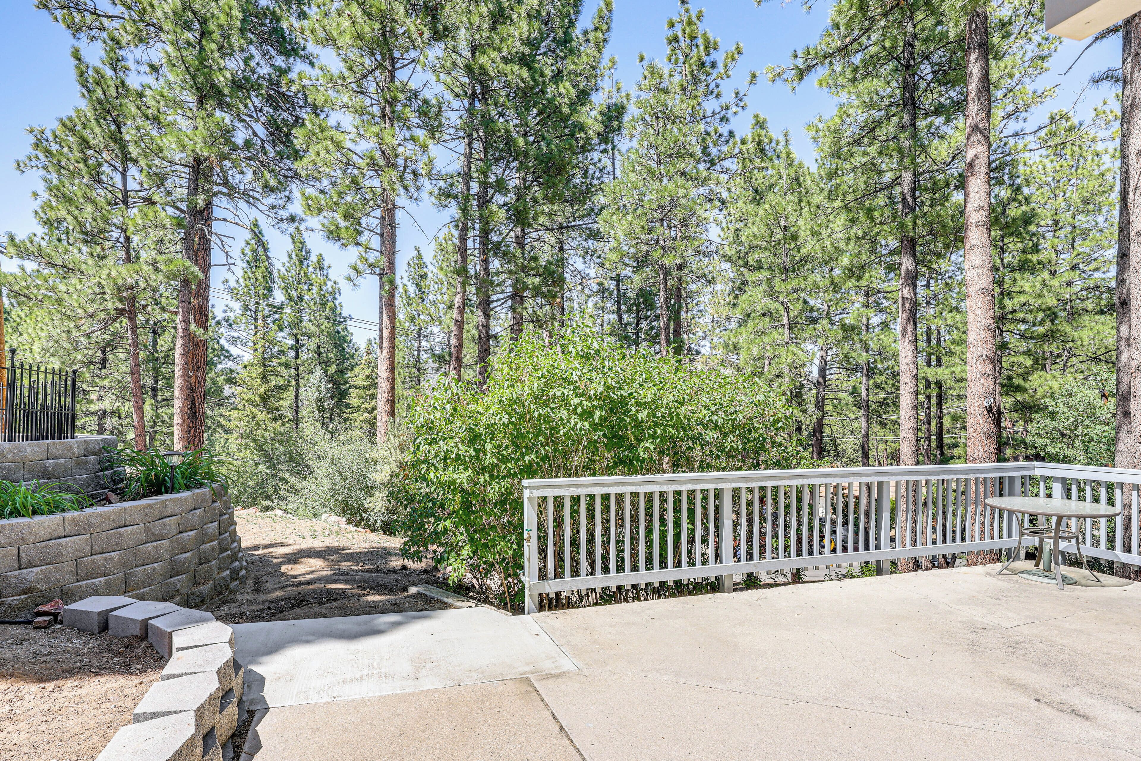 A concrete deck with a white railing, surrounded by a forest of tall pine trees.