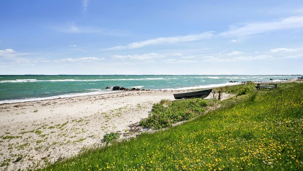 Ein Strand mit sandigem Ufer, einer Wiese mit gelben Blumen und dem Meer im Hintergrund.