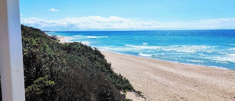 Lettini da mare