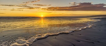 915 - Dog day's of summer, year round fun