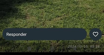 Spacious cabins with mountain view, 5 min from Nono.