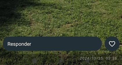 Spacious cabins with mountain view, 5 min from Nono.