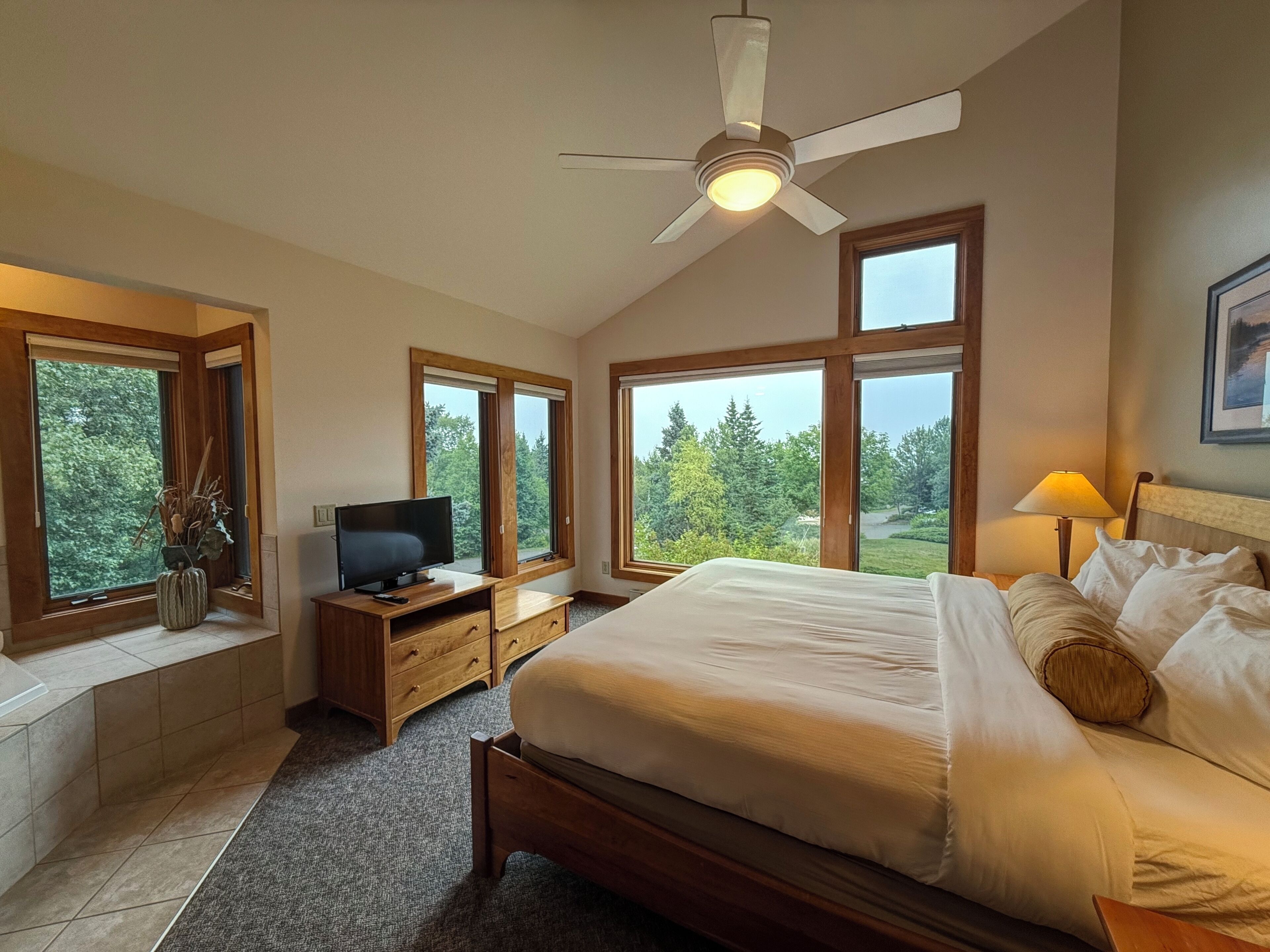 Un dormitorio con cama, televisión, escritorio y ventana.