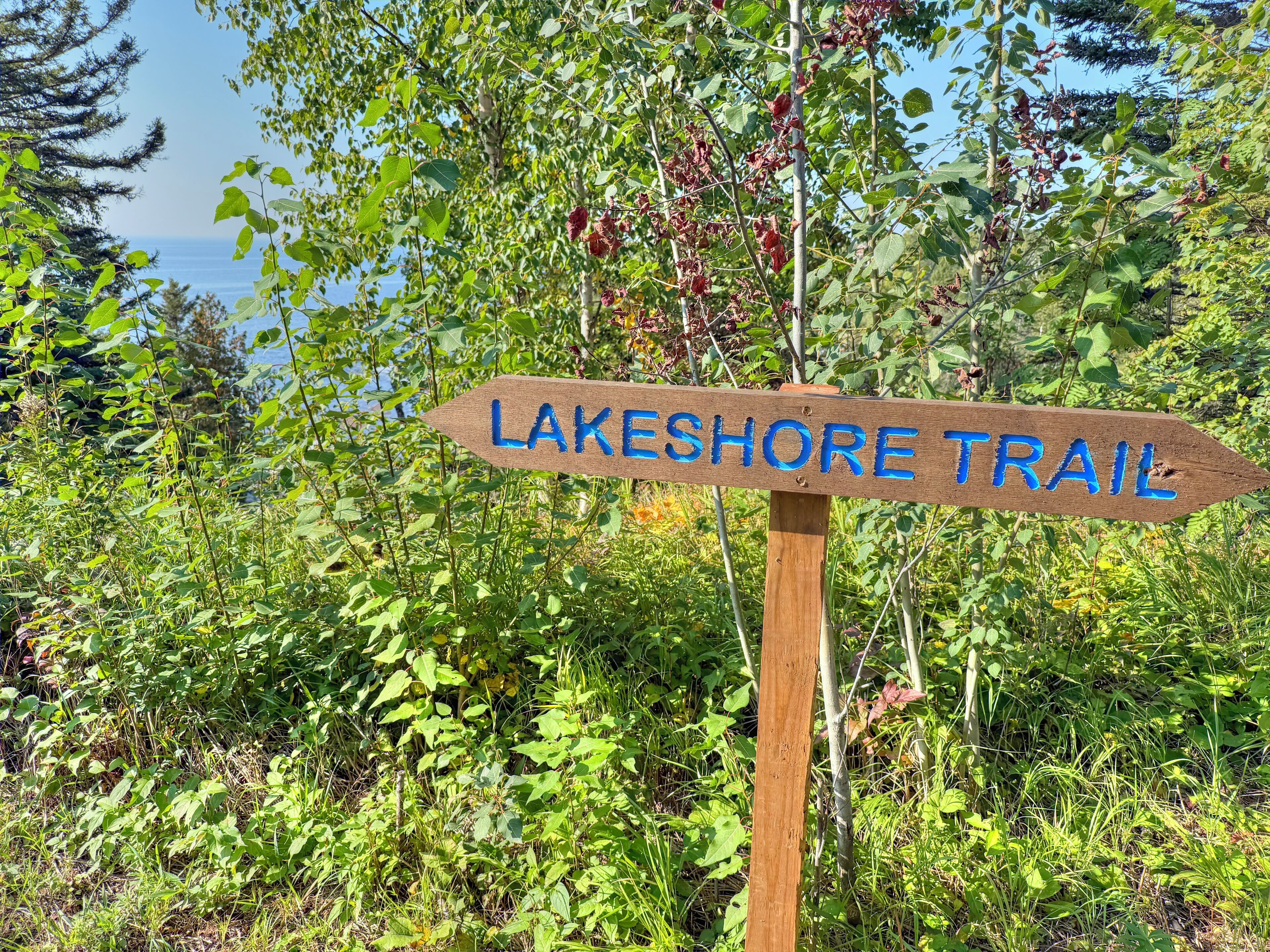 A wooden signpost with the text "LAKESHORE TRAIL" pointing to the right.