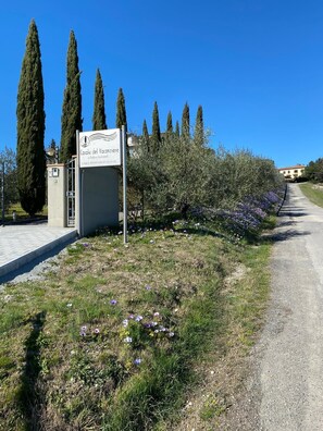 المنطقة المحيطة بالمنشأة