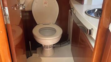 Shower, towels, toilet paper