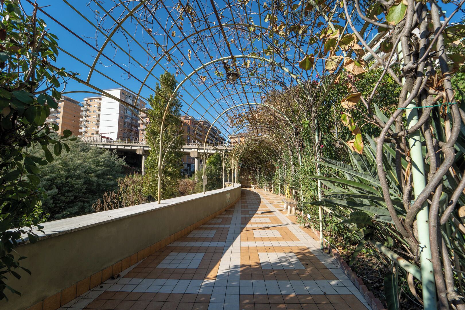 A covered walkway with a tiled floor, surrounded by various plants and trees.