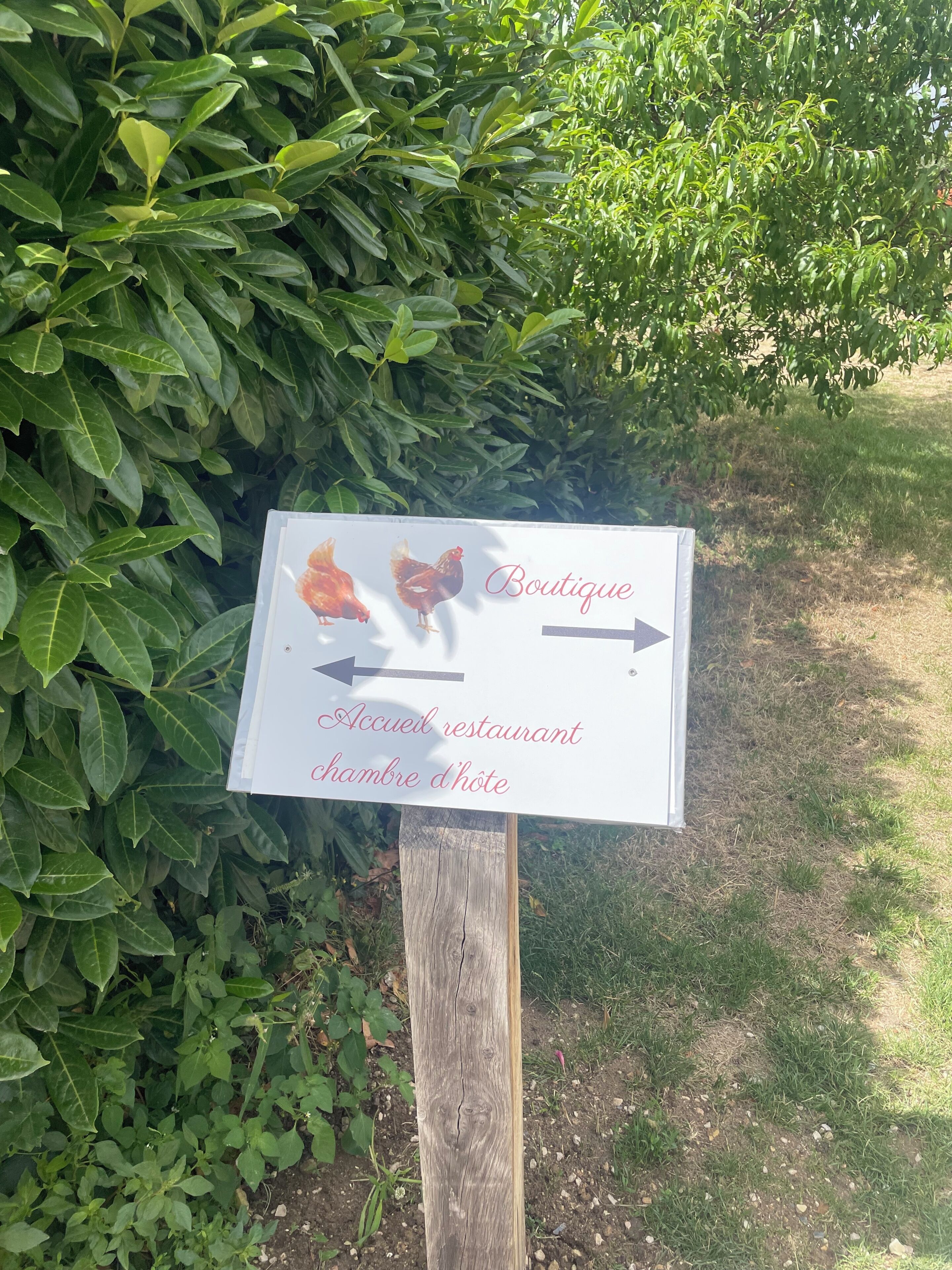 A sign with directions to a restaurant and hotel, featuring images of chickens and a rooster.