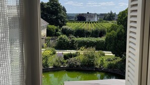 A view from a window with a mesh screen, overlooking a garden with a pond, neatly trimmed hedges, and a building in the distance. - La Galotiere  (Coteaux-sur-Loire)