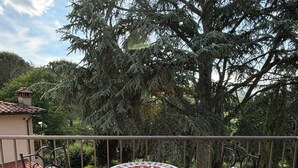Room, 1 Bedroom, Accessible, Balcony | Outdoor dining - Room-villa Casavecchia Caselli (Dicomano)