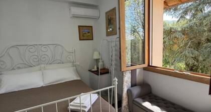 Room-charming Guest Room in Villa Casave