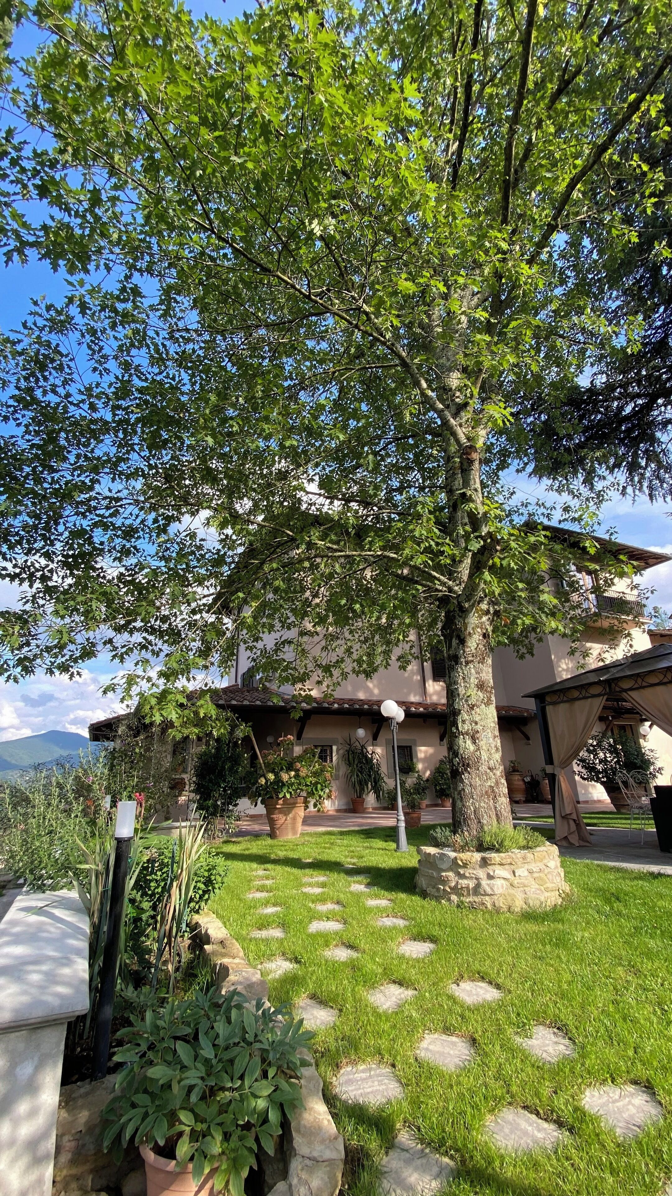 Chambre, 1 chambre, accessible aux personnes à mobilité réduite, patio | Jardin