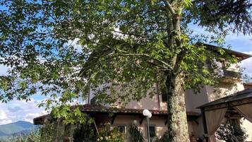 Chambre, 1 chambre, accessible aux personnes à mobilité réduite, patio | Jardin