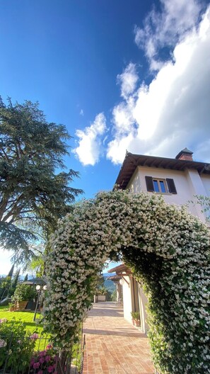 룸, 침실 1개, 장애인 지원, 테라스 | 정원