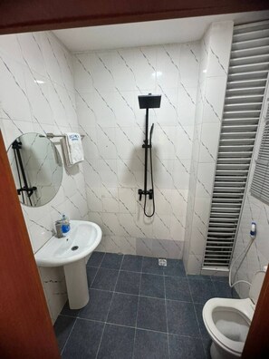 Douche, bidet, serviettes fournies, papier toilette