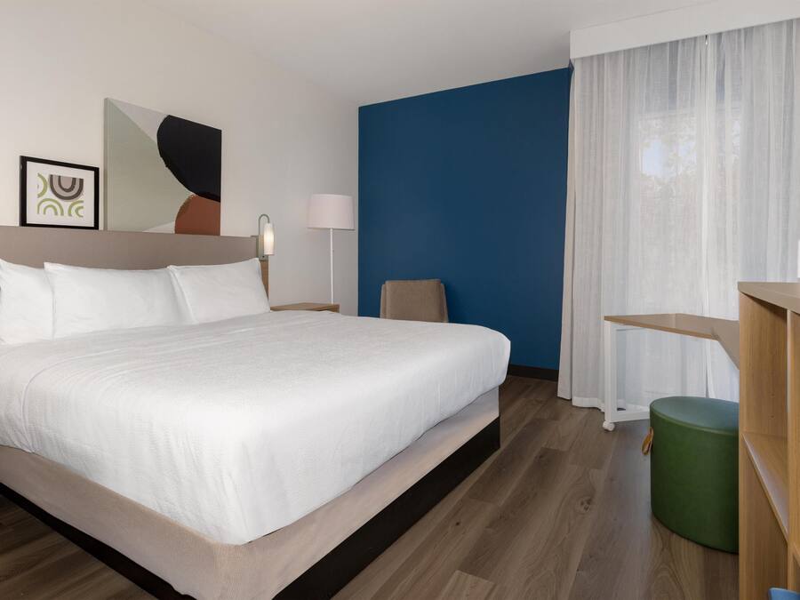 Roupas de cama de algodão egípcio, roupas de cama premium