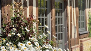 Ein traditionelles Fachwerkhäuschen mit Blumenbeet vor der Fassade.