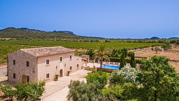 A stone building with a pool, surrounded by greenery and vineyards. - Gorgeous home in Felanitx with private swimming pool, can be inside or outside (Felanitx)