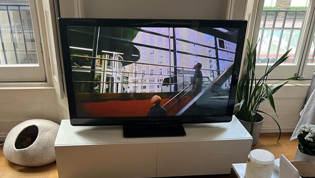 Een flatscreen televisie op een witte standaard in een kamer met een houten vloer, een wit dierenbed en een potplant.