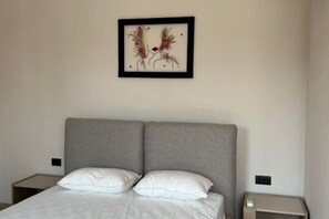 1 多间卧室、熨斗/熨衣板、上网接入、床单