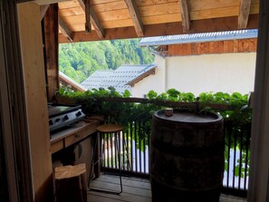 Property grounds - Chalet de l'eau rousse le Sappey à Celliers (La Léchère)