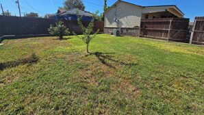 A backyard with a small tree, a wooden fence, and a house.
