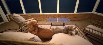 Our place is dog-friendly, stunning views of Shenandoah Skyline Drive