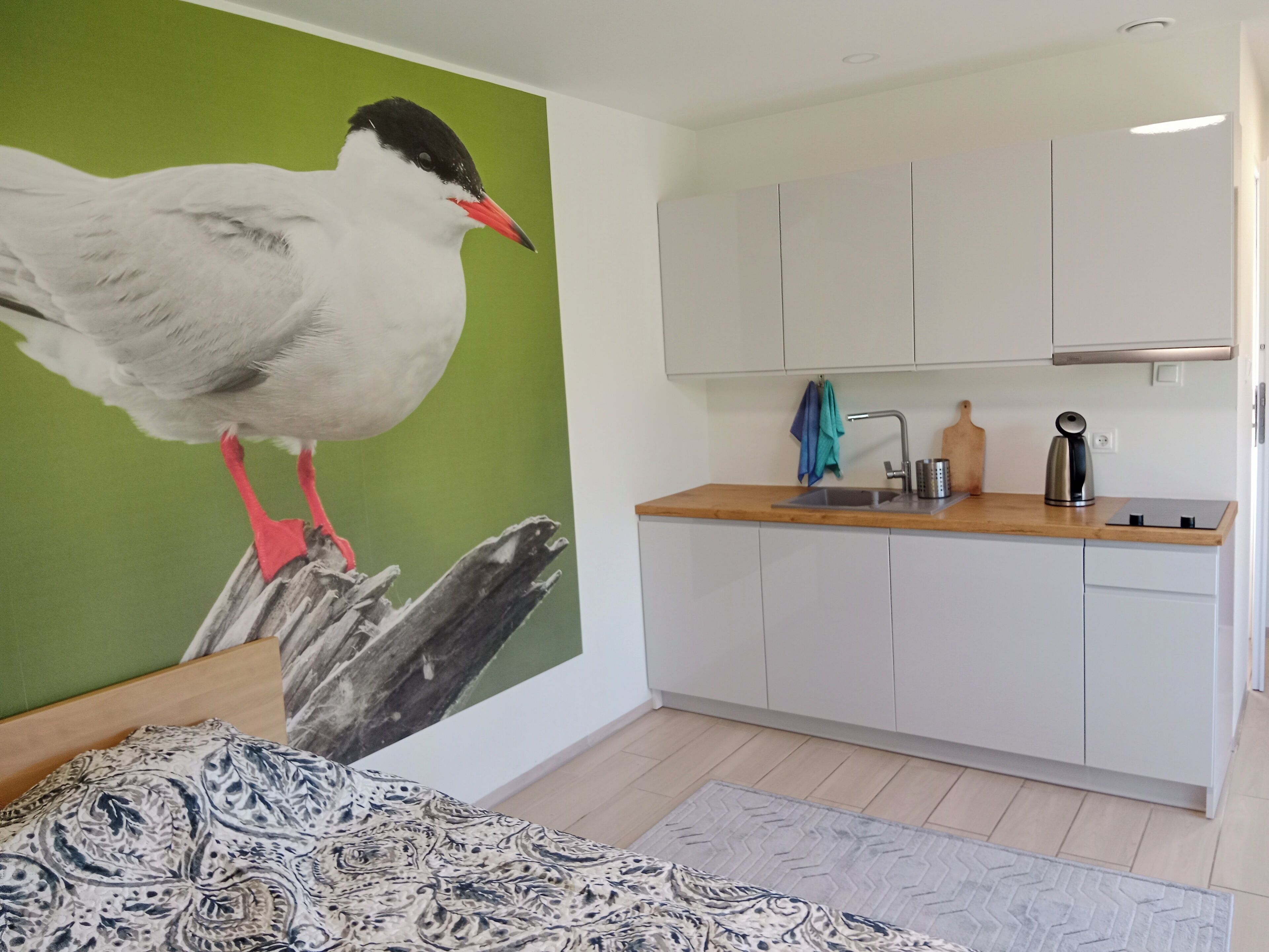 Comfort-Studiosuite | Individuell dekoriert, individuell eingerichtet
